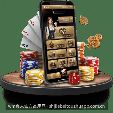 wm真人官方备用网与wm真人官方备用网相关问题2的核心差异是什么